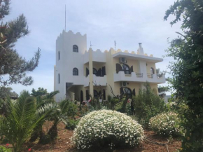 Castle on the Hill